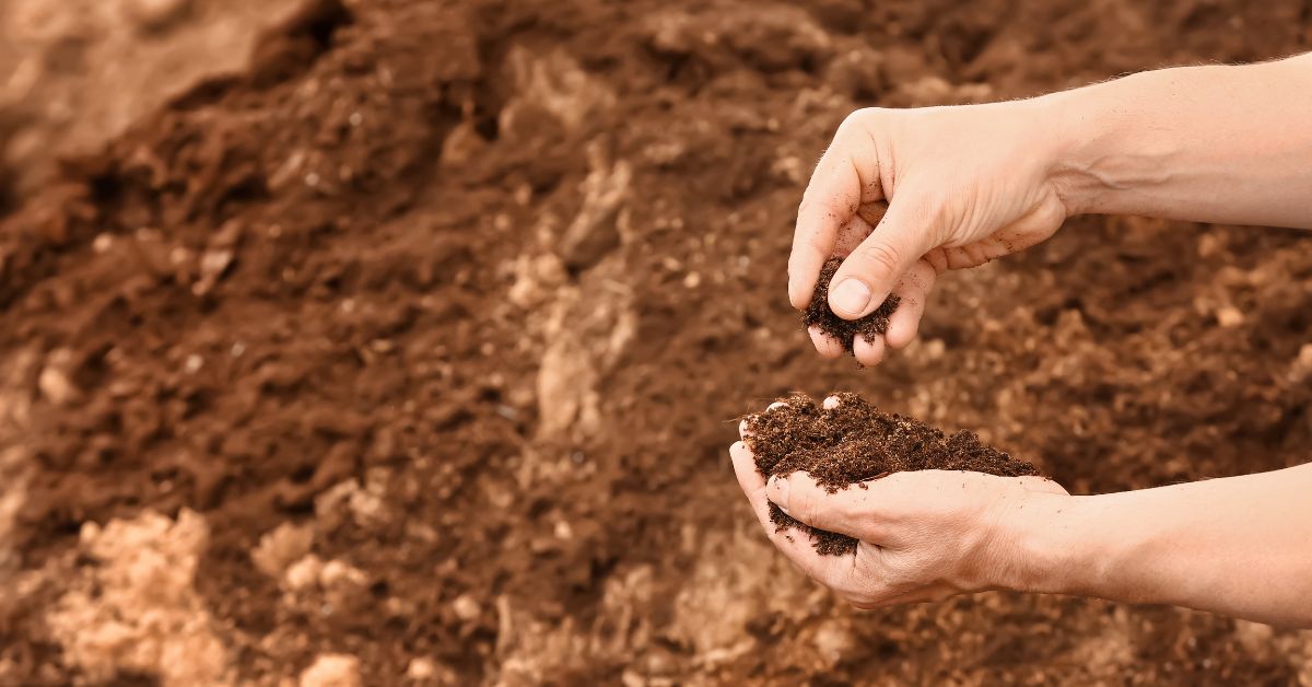 The Importance of Soil Testing Before Excavation: Unearthing the Hidden Secrets Below